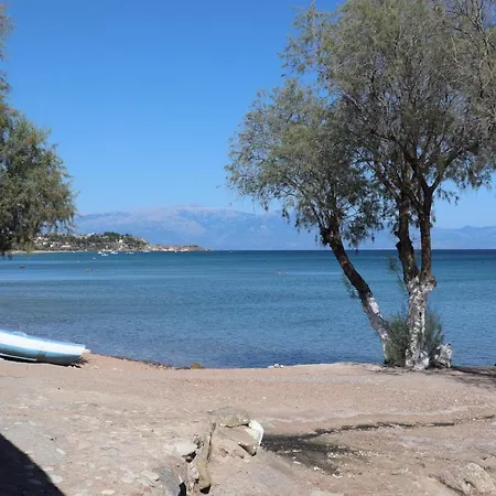 Διαμέρισμα Xenios Zeus 1 *